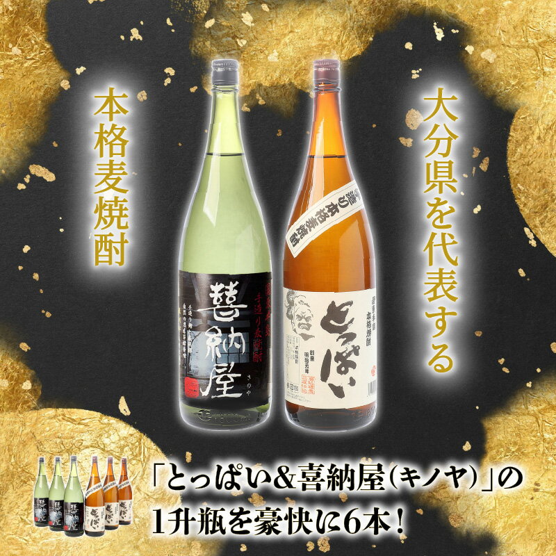 【ふるさと納税】本格麦焼酎「とっぱい＆喜納屋」の1升瓶を豪快に6本！・通 サムネイル2