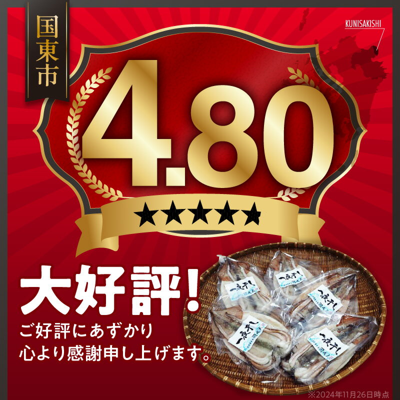 【ふるさと納税】訳あり 不揃い するめイカ 一夜干し 1kg以上 3～6尾 サイズ不揃い 肉厚 イカ 海鮮 干物 甘塩 おつまみ おかず ゲソ 耳 コリコリ食感 炙り 酒の肴 アテ お取り寄せ グルメ 送料無料 サムネイル2