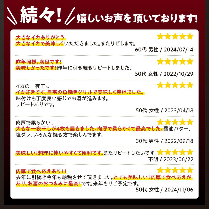 【ふるさと納税】訳あり 不揃い するめイカ 一夜干し 1kg以上 3～6尾 サイズ不揃い 肉厚 イカ 海鮮 干物 甘塩 おつまみ おかず ゲソ 耳 コリコリ食感 炙り 酒の肴 アテ お取り寄せ グルメ 送料無料 サムネイル3