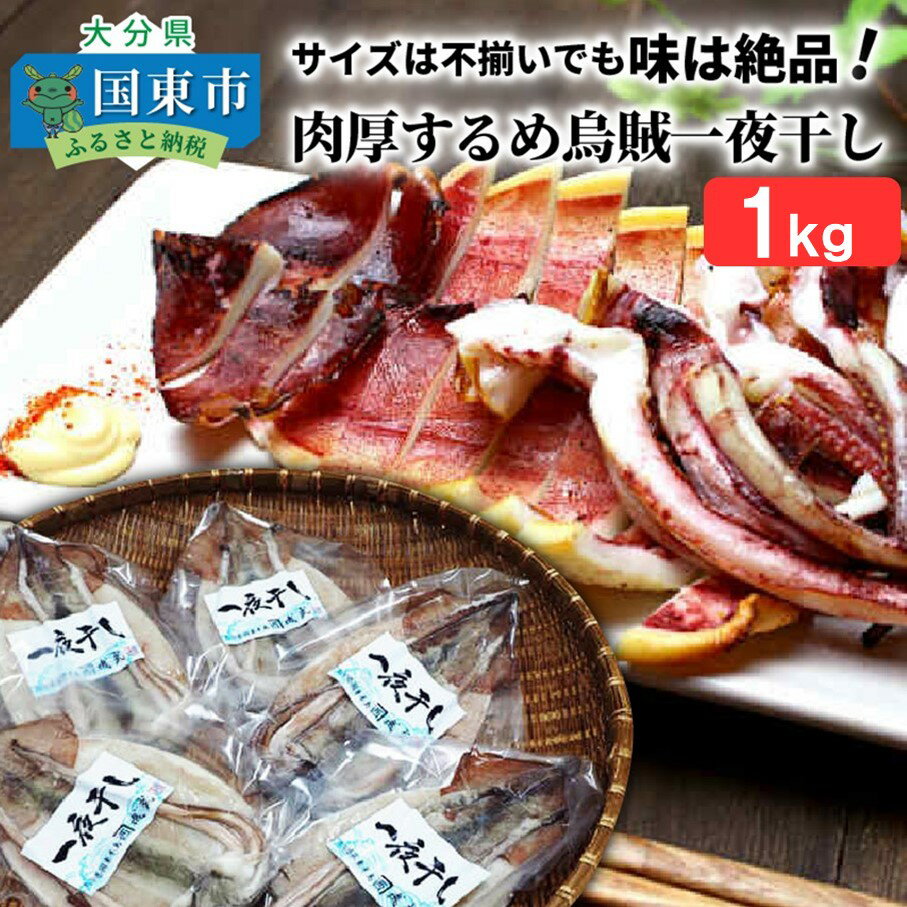 訳あり 不揃い するめイカ 一夜干し 1kg以上 3～6尾 サイズ不揃い 肉厚 イカ 海鮮 干物 甘塩 おつまみ おかず ゲソ 耳 コリコリ食感 炙り 酒の肴 アテ お取り寄せ グルメ 送料無料