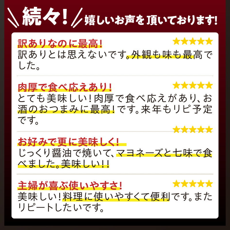 【ふるさと納税】訳あり 肉厚するめ烏賊一夜干し 1kg以上 3～6尾 サイズ不揃い 味は絶品 酸化防止剤 着色料 不使用 肉厚 甘みの強い 素材の美味しさ 甘塩 国産 イカ 海鮮 干物 おつまみ おかず ゲソ 耳 コリコリ食感 炙り お取り寄せ グルメ 大分県 国東市 送料無料 - 画像3