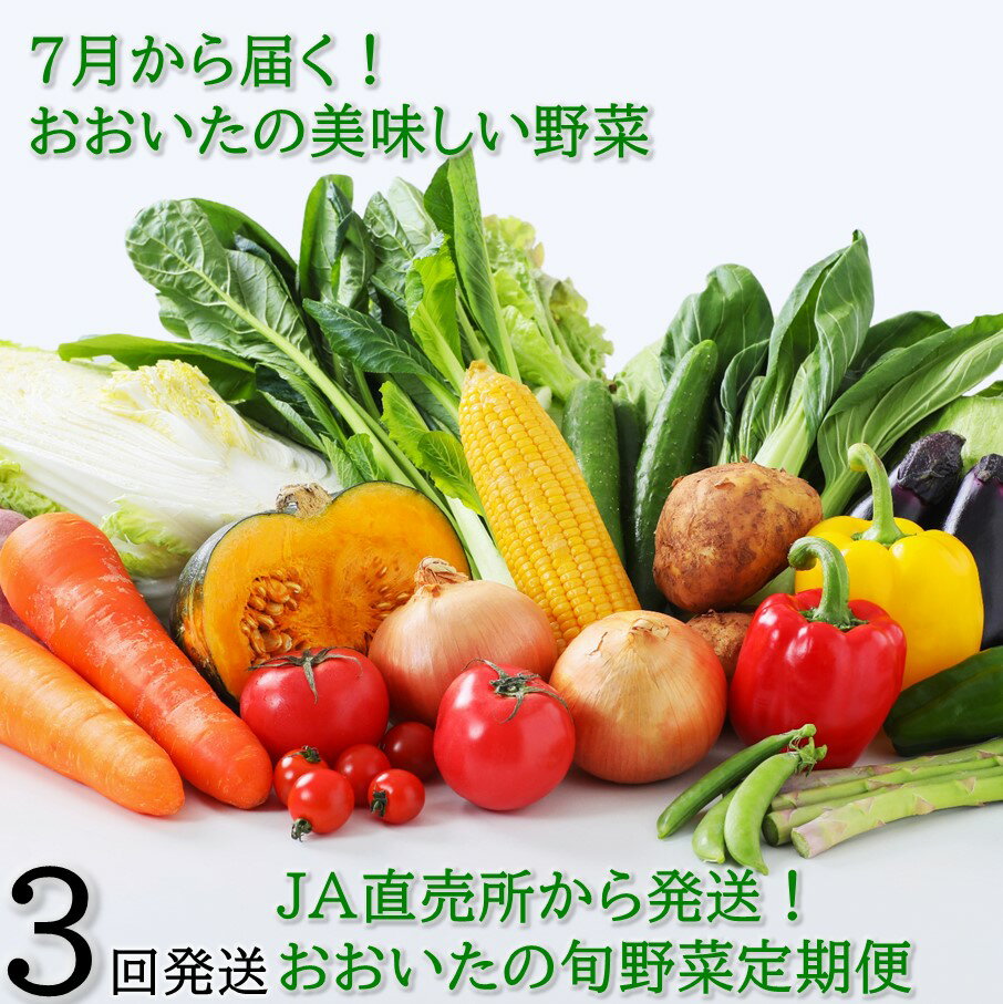 7月からお届け!おおいたの旬野菜定期便/計3回発送