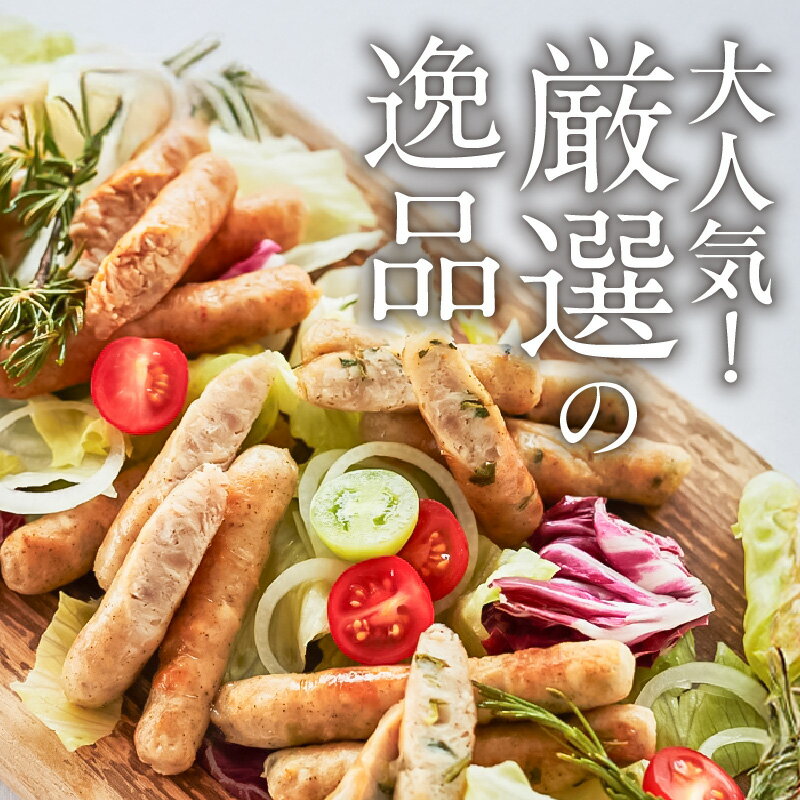 【ふるさと納税】保存料 酸化防止剤 発色剤 無添加 生 ソーセージ 10本 × 4種 40本 800g 詰め合わせ 食べ比べ セット ウィンナー 生ソーセージ プレーン 味一ネギ 柚子胡椒 ニラ 小分け 国産 豚肉 鶏肉 お取り寄せ グルメ おかず おつまみ BBQ アウトドア キャンプ 送料無料 サムネイル2