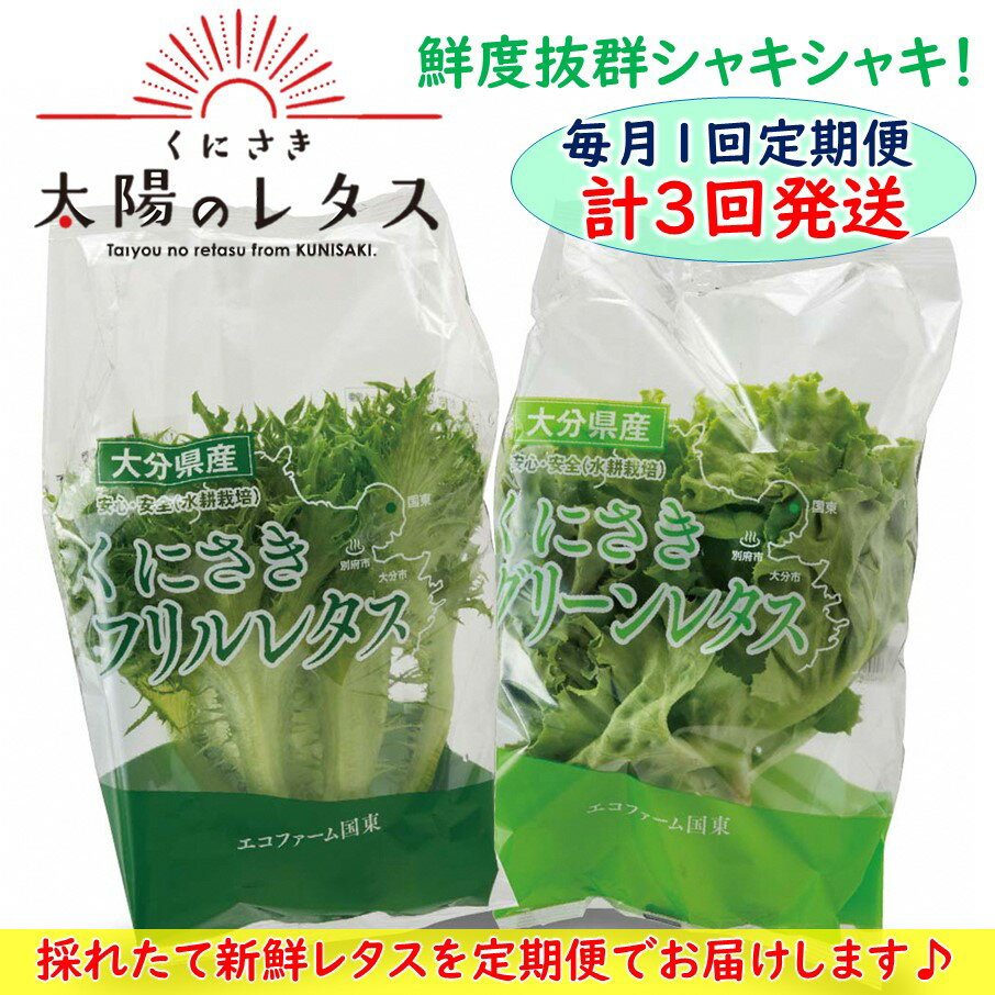 【ふるさと納税】毎月お届け！くにさき太陽のレタス定期便/計3回発送 - 画像2