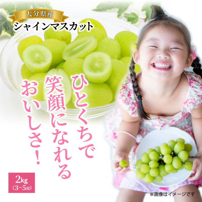 【ふるさと納税】シャインマスカット 令和8年発送 約 2kg 3～5房 大分県産 9月 10月 ぶどう マスカット フルーツ 果物 お取り寄せ 人気 葡萄 送料無料 - 画像3
