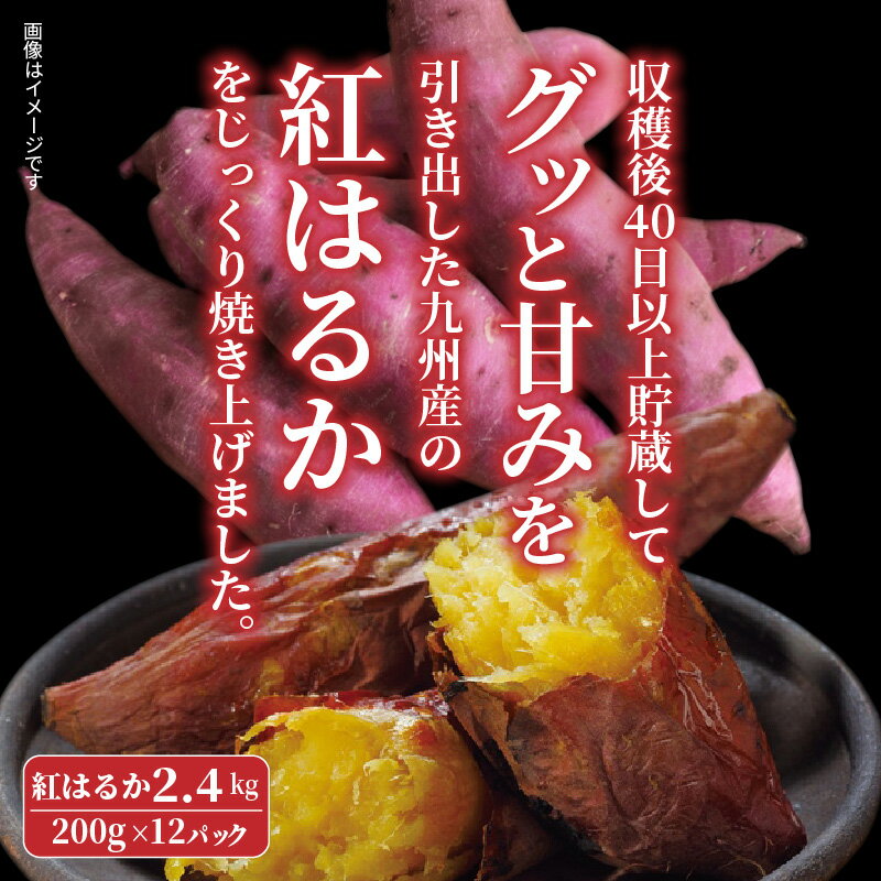 【ふるさと納税】長期熟成！極甘しっとり焼いも/紅はるか2.4kg - 画像3