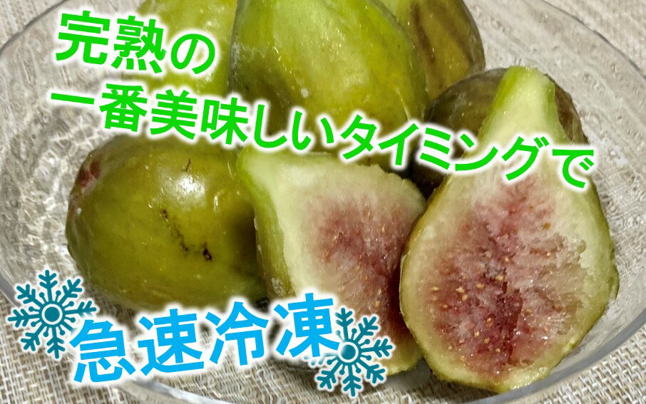 【ふるさと納税】冷凍 完熟 いちじく バナーネ 白いちじく 1.5kg 冷凍イチジク 無花果 バナーネ シロイチジク フルーツ 新鮮 送料無料 サムネイル2