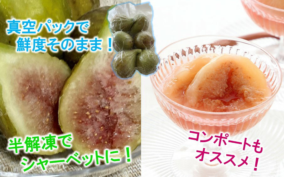 【ふるさと納税】冷凍 完熟 いちじく バナーネ 白いちじく 1.5kg 冷凍イチジク 無花果 バナーネ シロイチジク フルーツ 新鮮 送料無料 サムネイル3