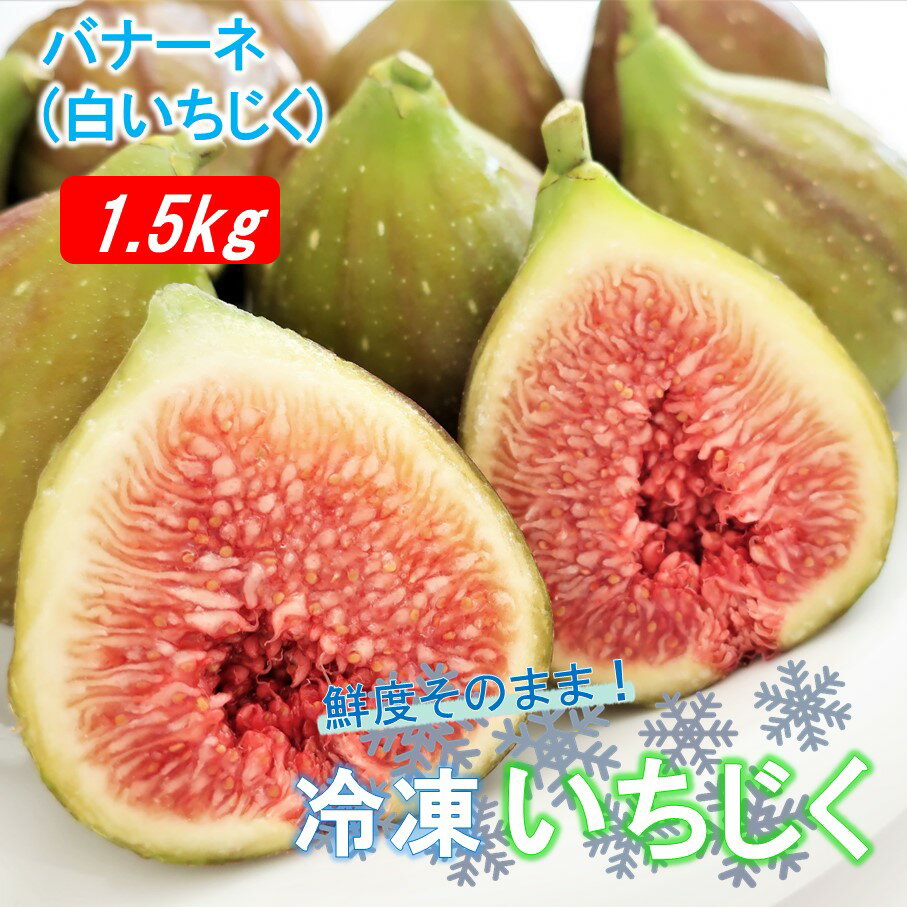 冷凍 完熟 いちじく バナーネ 白いちじく 1.5kg 冷凍イチジク 無花果 バナーネ シロイチジク フルーツ 新鮮 送料無料