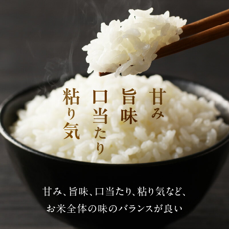 【ふるさと納税】令和7年産 つやっつやの大分県産つや姫10kg(5kg×2袋) つやひめ お米 精米 白米 ご飯 - 画像2