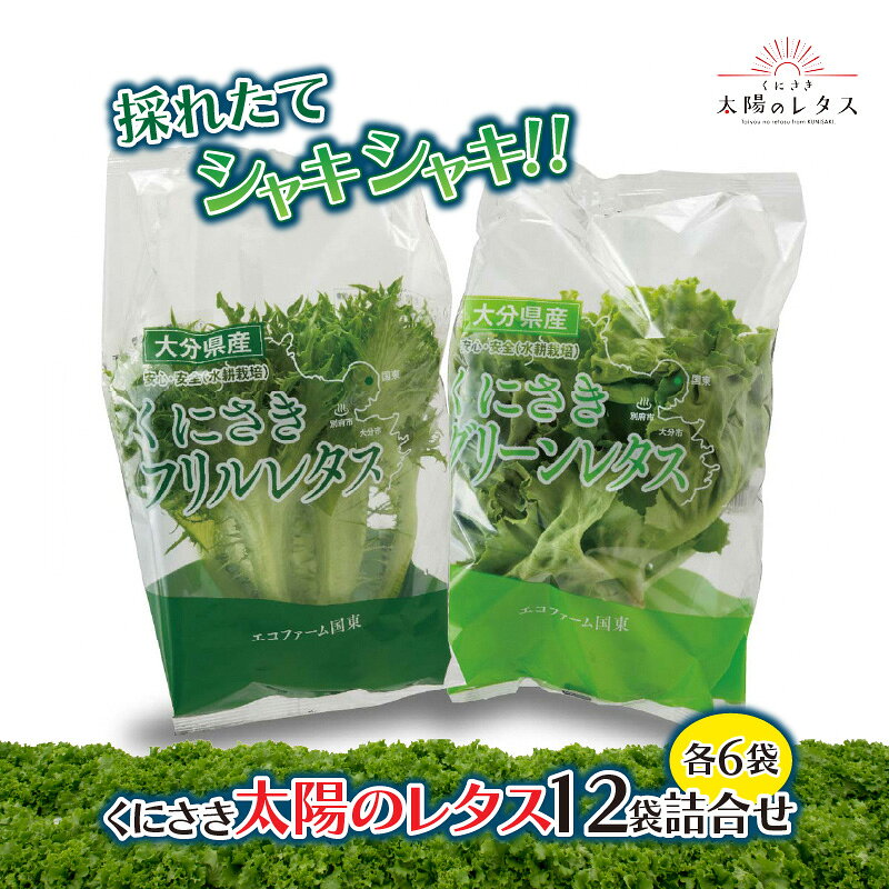 採れたてシャキシャキ!!くにさき太陽のレタス12袋詰合せ_1183R