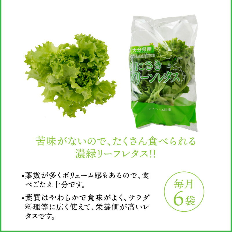 【ふるさと納税】毎月お届け！くにさき太陽のレタス定期便/計12回発送 - 画像3