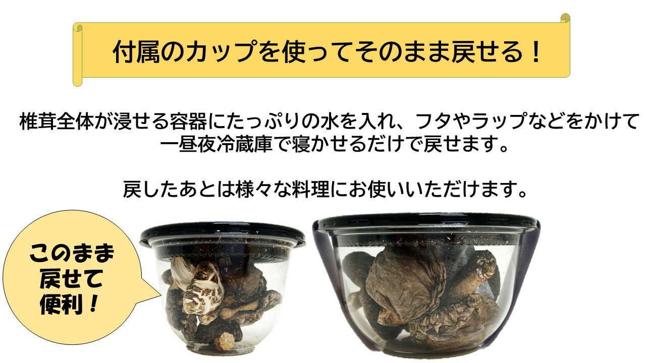 【ふるさと納税】国東の厳選肉厚カップ乾し椎茸 くにまる 特大1・小2 シイタケ 乾物 おすすめ 栄養 美容 食物繊維 出汁 朝食 夕食 大分県産 特産品 ご当地 - 画像3