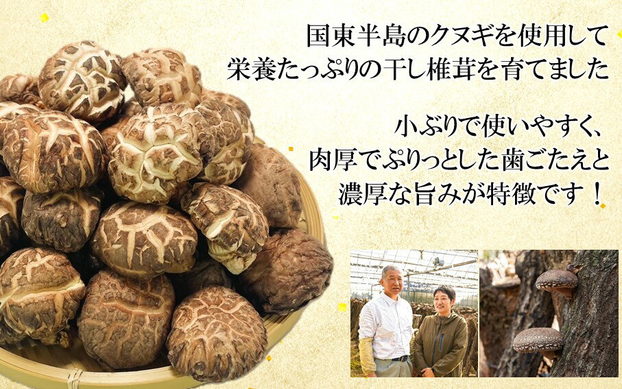 【ふるさと納税】【選べる容量】国東産どんこ干し椎茸 150g 50g×3袋 300g 50g×6袋 シイタケ しいたけ 乾物 おすすめ 栄養 食物繊維 出汁 朝食 夕食 大分県産 特産品 ご当地 - 画像2