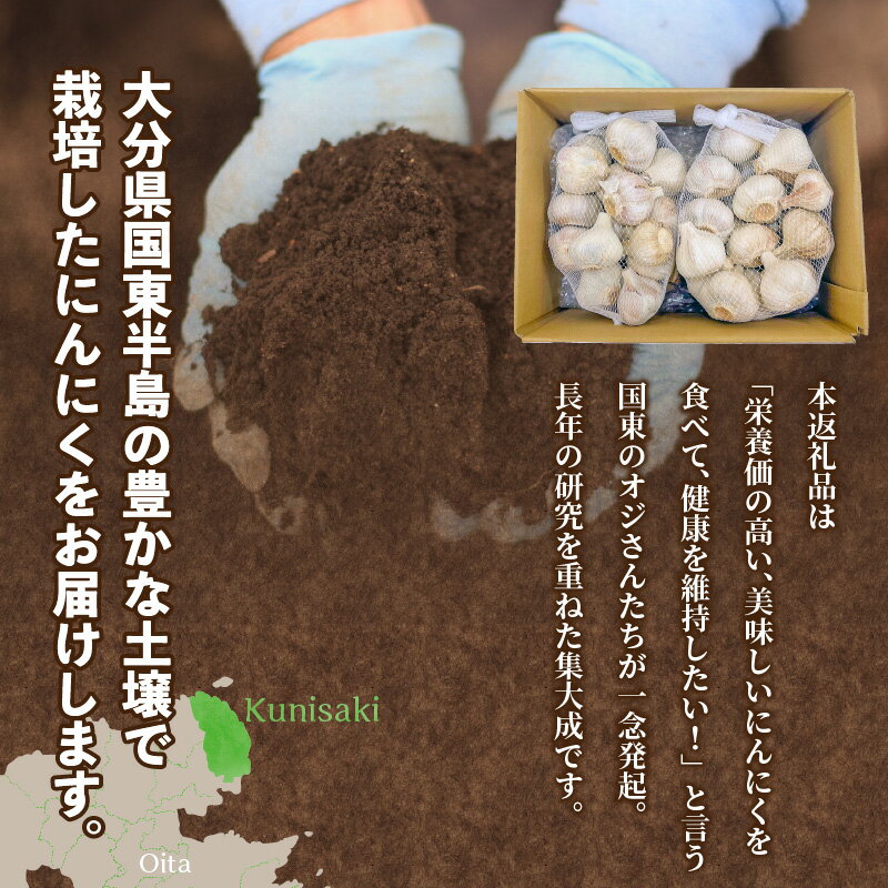 【ふるさと納税】【先行予約】毎日食べて元気モリモリ！国東産乾燥にんにく0.8kg/こだわり減農薬栽培 - 画像3