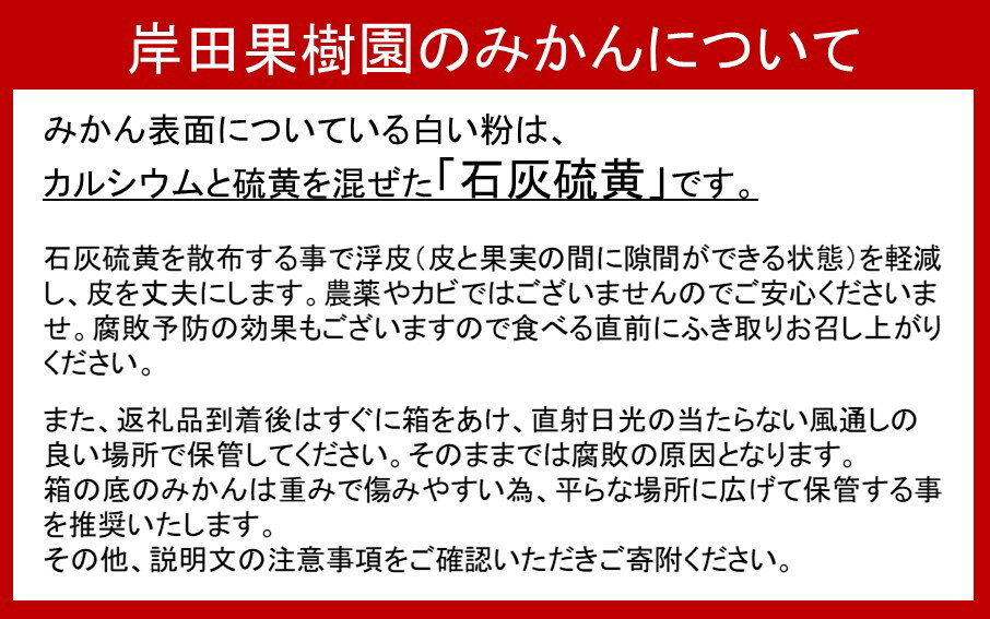 【ふるさと納税】岸田果樹園プレミアム「温故蜜柑」約3.5kg 家庭用 みかん ミカン 温州みかん サムネイル2