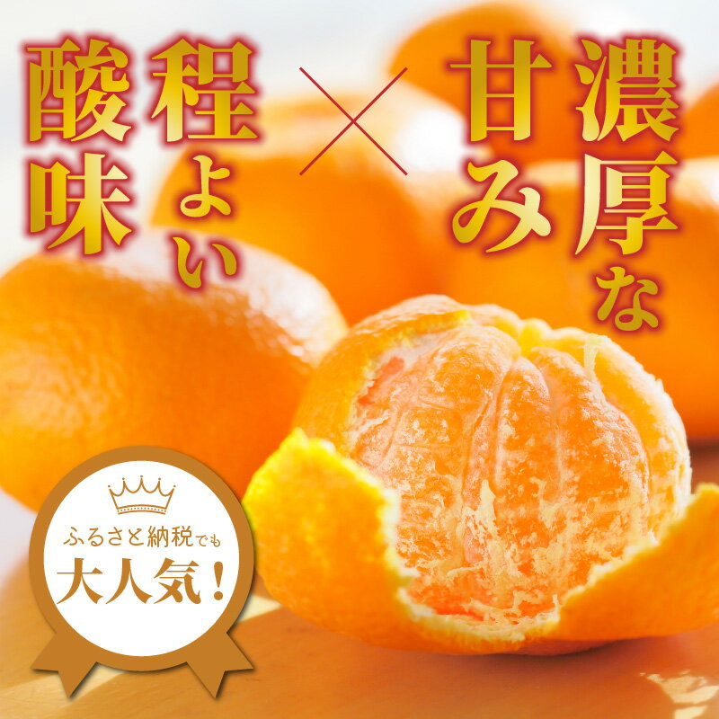 【ふるさと納税】岸田果樹園プレミアム「温故蜜柑」約5kg 家庭用 みかん ミカン 温州みかん サムネイル2