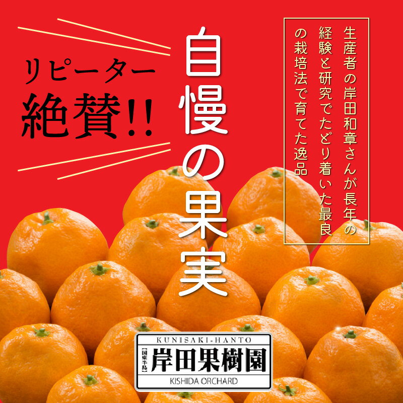 【ふるさと納税】岸田果樹園プレミアム「温故蜜柑」約5kg 家庭用 みかん ミカン 温州みかん サムネイル3