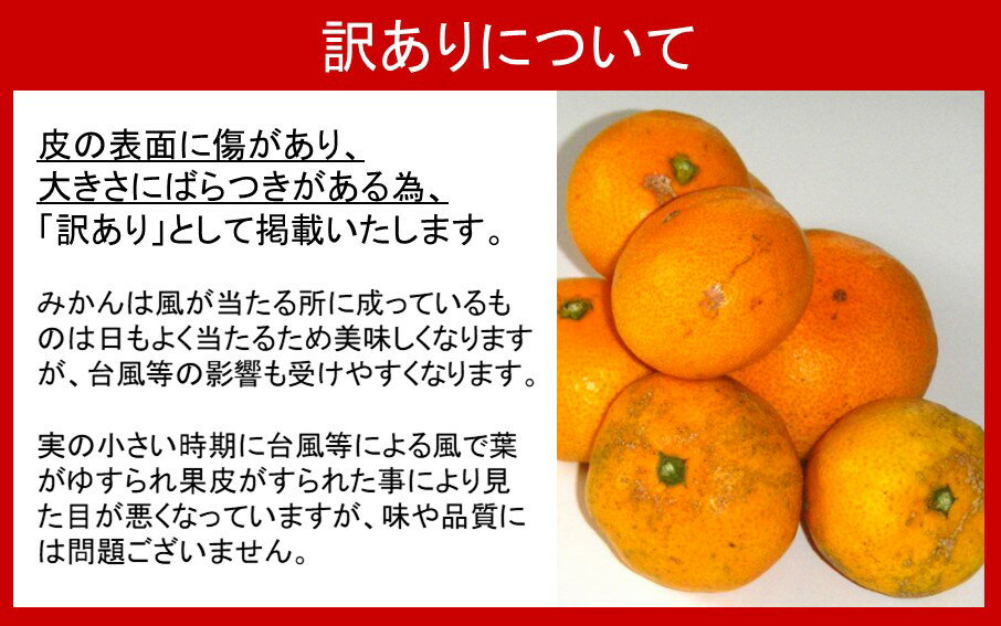 【ふるさと納税】訳あり/岸田果樹園「温故蜜柑」約3.5kg 家庭用 みかん ミカン 温州みかん サムネイル3