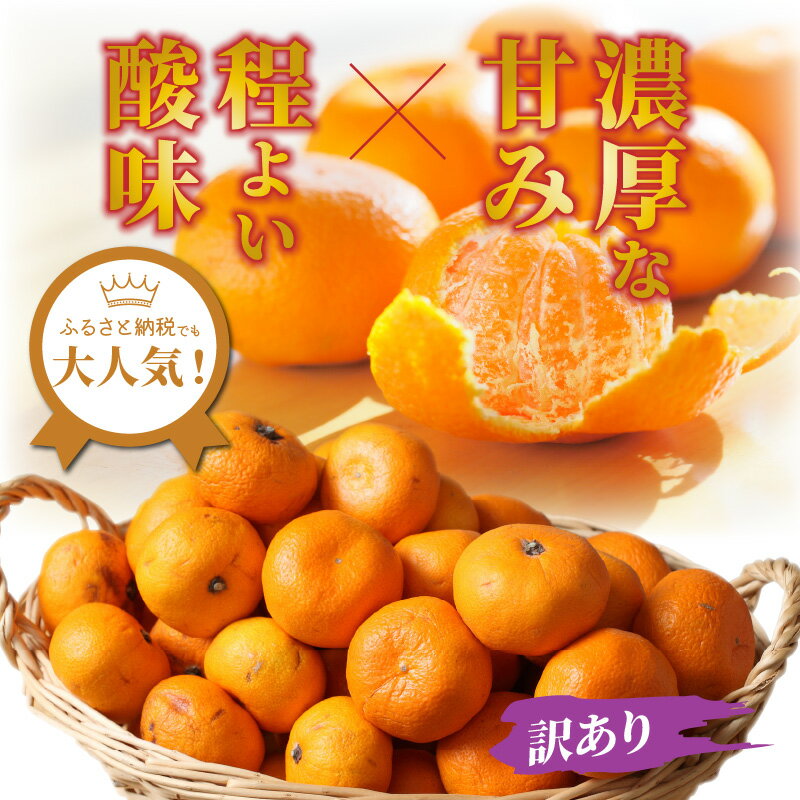 【ふるさと納税】訳あり/岸田果樹園「温故蜜柑」約7kg 家庭用 みかん ミカン 温州みかん サムネイル2