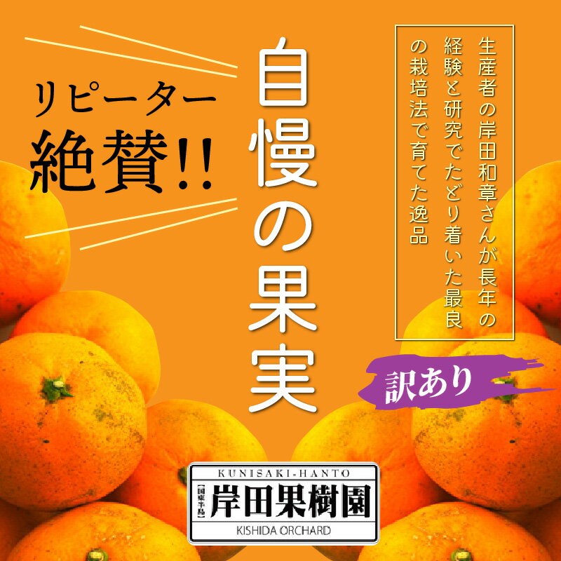【ふるさと納税】訳あり/岸田果樹園「温故蜜柑」約7kg 家庭用 みかん ミカン 温州みかん サムネイル3