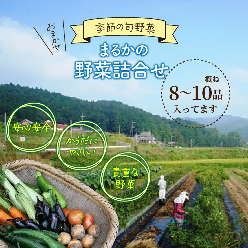 【ふるさと納税】野菜 詰め合わせ セット M 8〜10品 国産 大分 野菜セット おまかせ 旬野菜 季節の旬野菜 新鮮 生野菜 食材 季節野菜 旬 おいしい 安心安全 詰め合わせセット 九州 お取り寄せ 送料無料 - 画像2