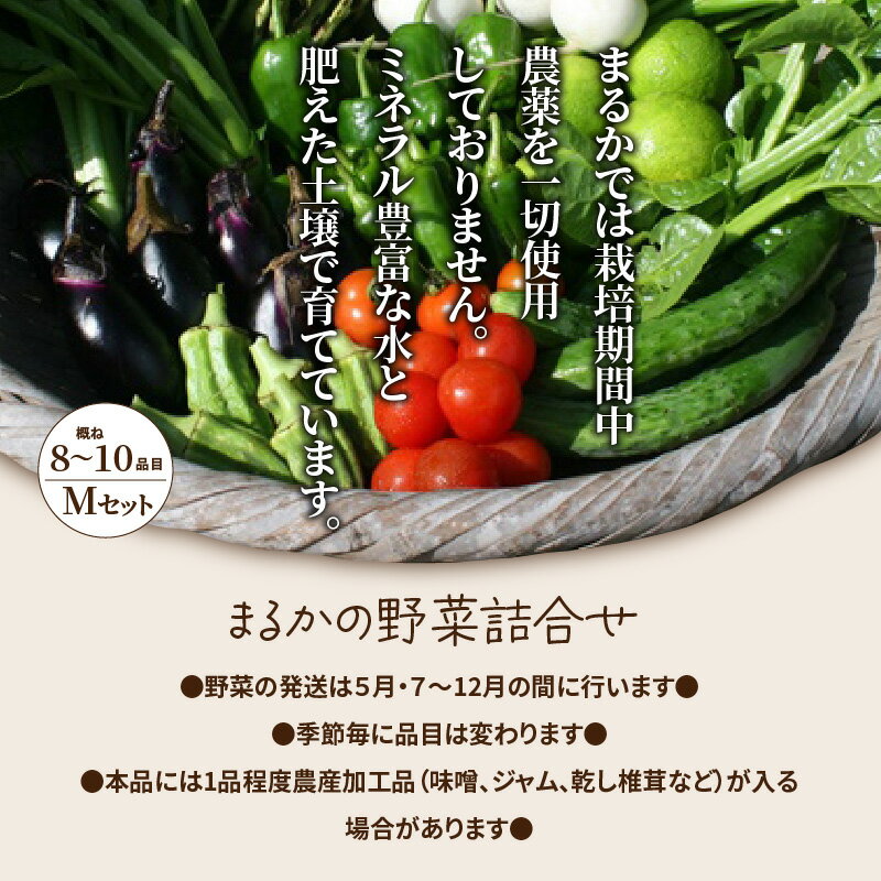 【ふるさと納税】野菜 詰め合わせ セット M 8〜10品 国産 大分 野菜セット おまかせ 旬野菜 季節の旬野菜 新鮮 生野菜 食材 季節野菜 旬 おいしい 安心安全 詰め合わせセット 九州 お取り寄せ 送料無料 - 画像3