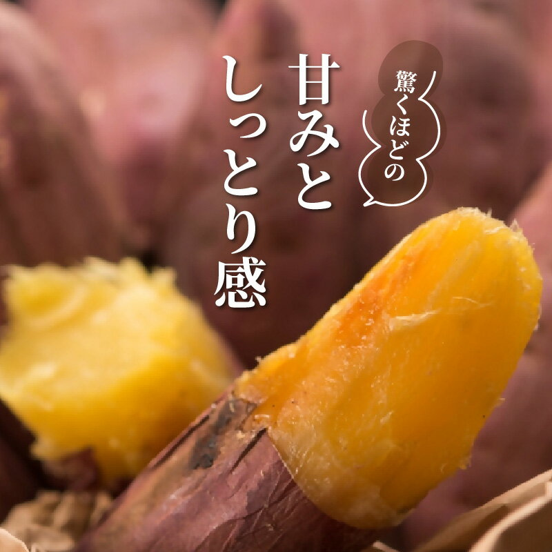 【ふるさと納税】先行予約 さつまいも 甘太くん 5kg 大分県産 M～2L - 画像2