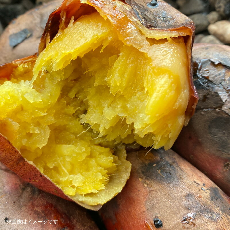 【ふるさと納税】先行予約 さつまいも 甘太くん 5kg 大分県産 M～2L - 画像3