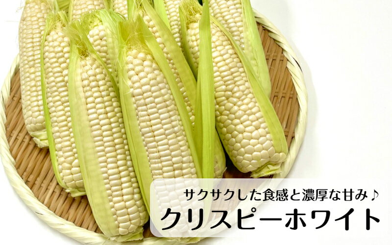【ふるさと納税】【令和8年6月から発送】 白とうもろこし10本と季節のユニーク野菜5品詰合せ - 画像2