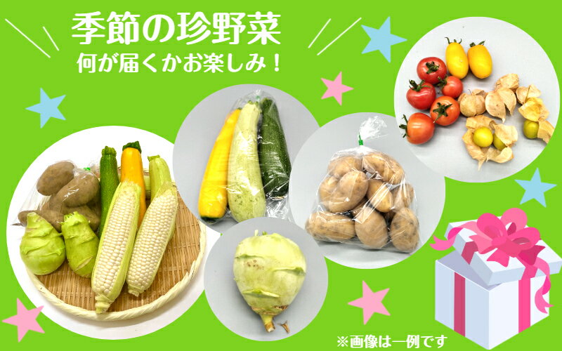 【ふるさと納税】上田さんちの季節の珍野菜詰合せ - 画像2