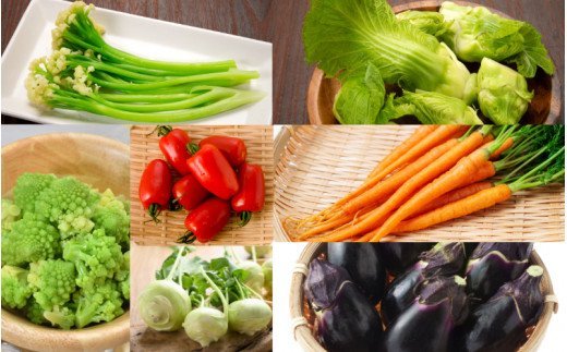 【ふるさと納税】上田さんちの季節の珍野菜詰合せ - 画像3