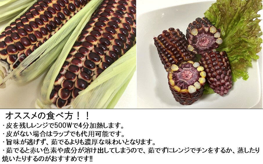 【ふるさと納税】【令和8年7月～8月発送】上田農園の赤とうもろこし（大和ルージュ）とユニーク野菜 - 画像2