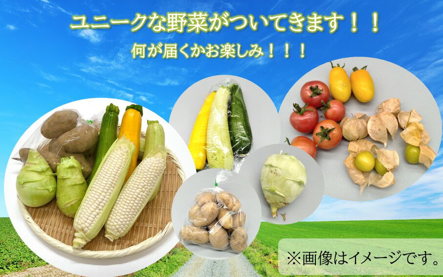 【ふるさと納税】【令和8年7月～8月発送】上田農園の赤とうもろこし（大和ルージュ）とユニーク野菜 - 画像3