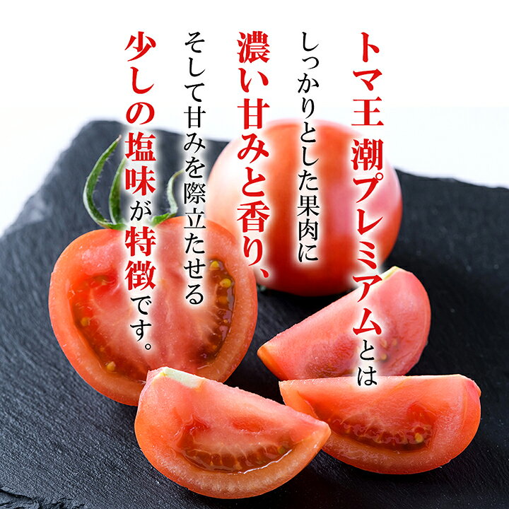【ふるさと納税】2026年1月下旬から順次発送【糖度10度以上】高糖度トマト 「トマ王潮プレミアム」約9玉～_ トマト 高糖度 トマ王潮 プレミアム 野菜 美味しい 大分県 人気 おすすめ 送料無料【配送不可地域：離島】【1087104】 - 画像2