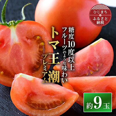 2026年1月下旬から順次発送【糖度10度以上】高糖度トマト 「トマ王潮プレミアム」約9玉～_ トマト 高糖度 トマ王潮 プレミアム 野菜 美味しい 大分県 人気 おすすめ 送料無料【配送不可地域：離島】【1087104】