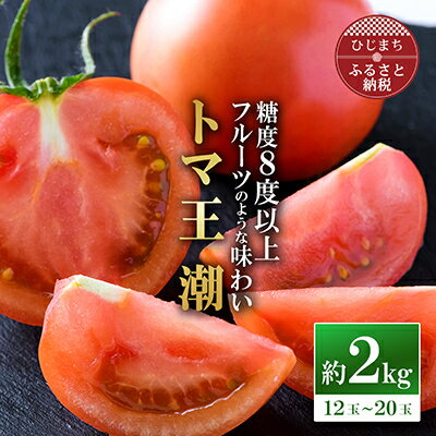 2026年1月中旬から順次発送【糖度8度以上】あま～いトマト「トマ王 潮」約2kg_ トマト 高糖度 トマ王 潮 野菜 美味しい 大分県 人気 おすすめ 送料無料【配送不可地域：離島】【1087106】