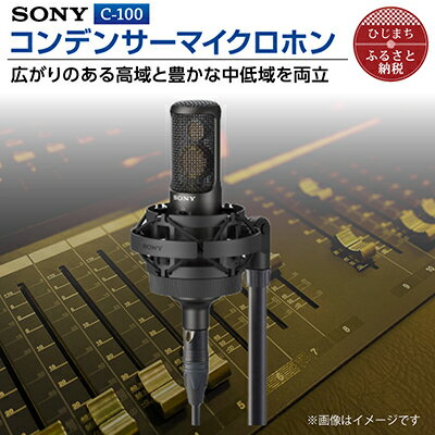 コンデンサーマイクロホン SONY　C-100_ ソニー マイク 高音質 配信 会議 テレワーク 録音 ゲーム 実況 youtube 【1340462】