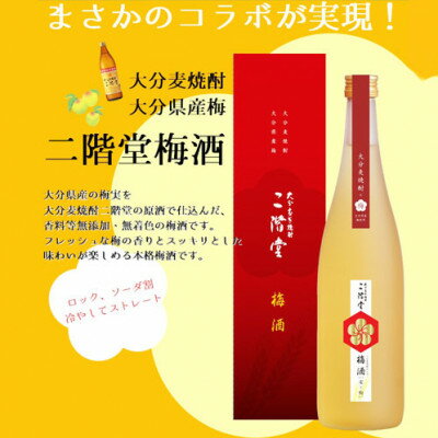 【ふるさと納税】【数量限定】二階堂 梅酒 (化粧箱入り) AG42【1291923】 サムネイル2