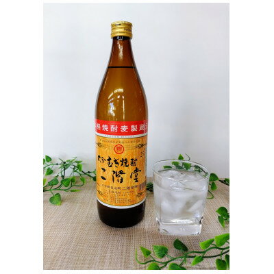 【ふるさと納税】大分むぎ焼酎　二階堂と速津媛25度(900ml)2本セット【1454207】 サムネイル2