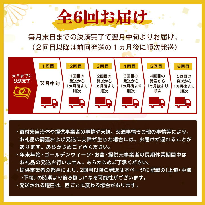 【ふるさと納税】【毎月定期便】大分むぎ焼酎二階堂(20度(900ml)12本) 全6回【4007335】 サムネイル3