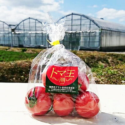 【ふるさと納税】【糖度8度以上】あま～いトマト「トマ王 潮」(約300g×5袋)【配送不可地域：離島】【1087105】 - 画像3