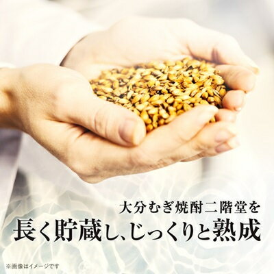 【ふるさと納税】大分むぎ焼酎　二階堂吉四六つぼ25度(720ml)6本セット【1550331】 サムネイル2