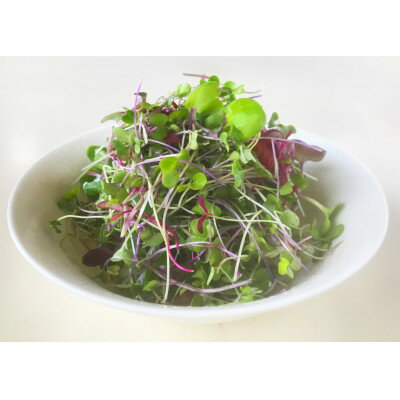 【ふるさと納税】マイクログリーンズ(サラダミックス:6～8種の野菜200g詰め)【配送不可地域：離島】【1640643】 - 画像2