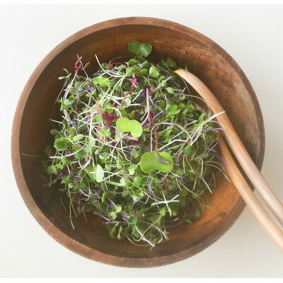 【ふるさと納税】マイクログリーンズ(サラダミックス:6～8種の野菜200g詰め)【配送不可地域：離島】【1640643】 - 画像3