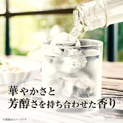 【ふるさと納税】大分むぎ焼酎　二階堂吉四六瓶25度(720ml)6本セット_ 焼酎 むぎ焼酎 二階堂 吉四六 瓶 飲み比べ 大分県 お酒 人気 おすすめ 送料無料【1550339】 サムネイル3