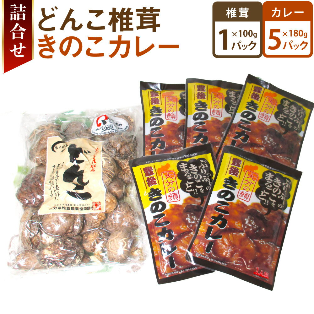 どんこ椎茸・きのこカレー詰合せ 合計6袋 椎茸 しいたけ 乾しいたけ 厚切り カレー キノコ きのこ 春 国産 九州産 大分県産 送料無料