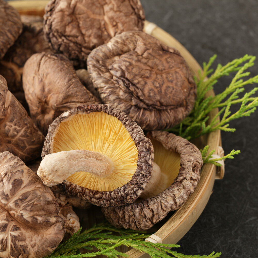 【ふるさと納税】大分産 乾椎茸 どんこ 70g 椎茸 乾燥椎茸 乾しいたけ 干し椎茸 しいたけ きのこ キノコ 原木 原木栽培 春 国産 九州産 大分県産 送料無料 - 画像3