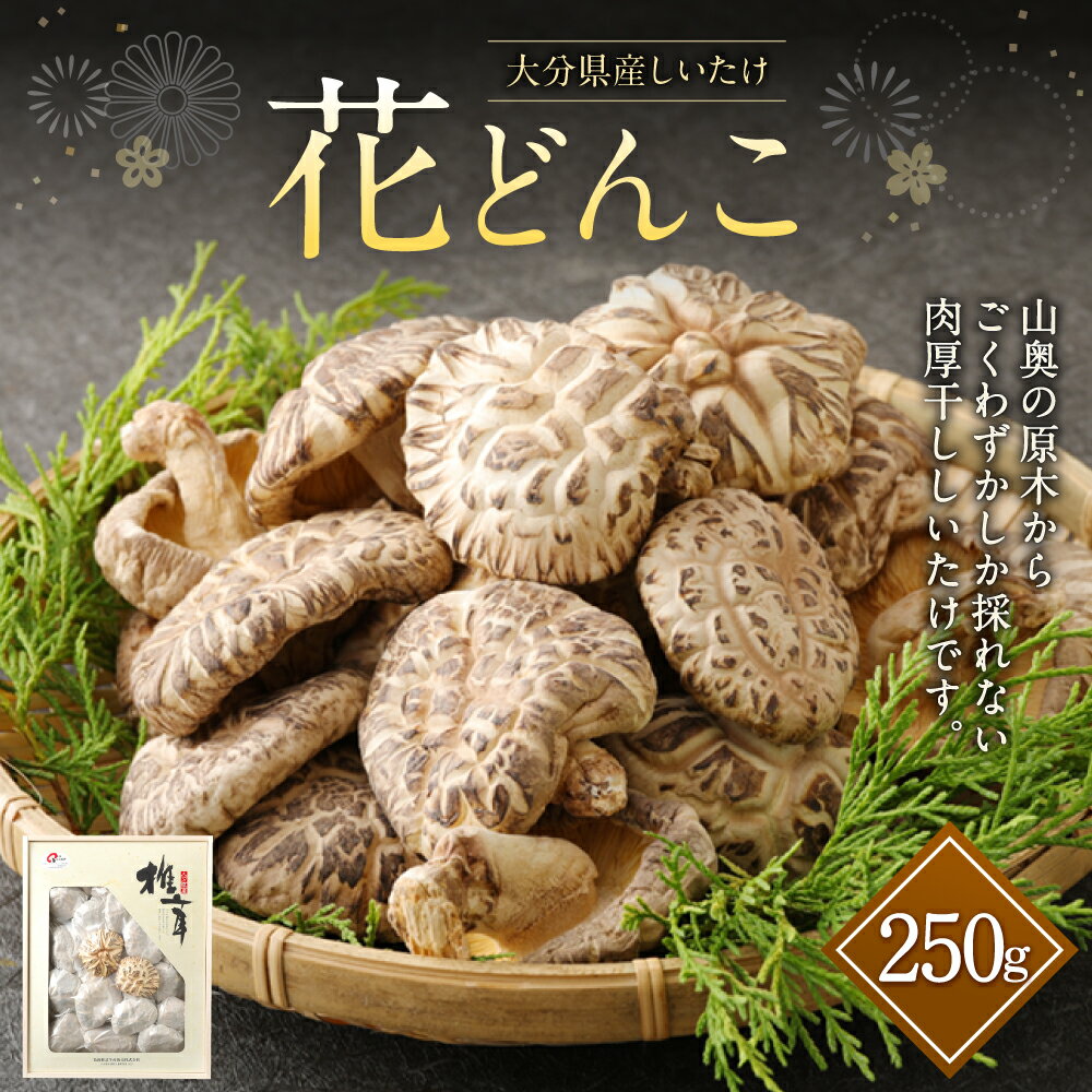 【ふるさと納税】大分産 しいたけ 花どんこ 250g 椎茸 きのこ キノコ 茸 春 国産 九州産 大分県産 送料無料 - 画像2