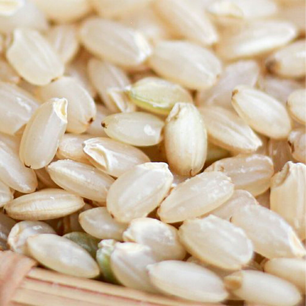 【ふるさと納税】【令和7年産】さとうファームの有機栽培米 玄米 5kg 有機栽培米 ミルキークイーン お米 米 国産 九州産 九重町産 送料無料 - 画像3